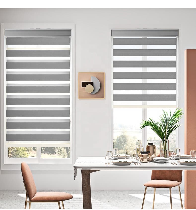 Lumiflex Day and Night Window Blind