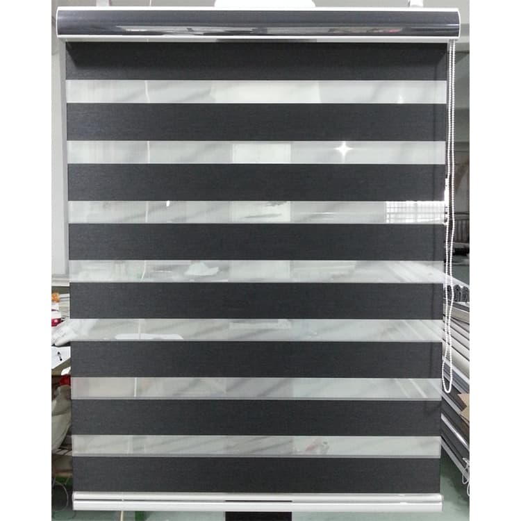 Lumiflex Day and Night Window Blind